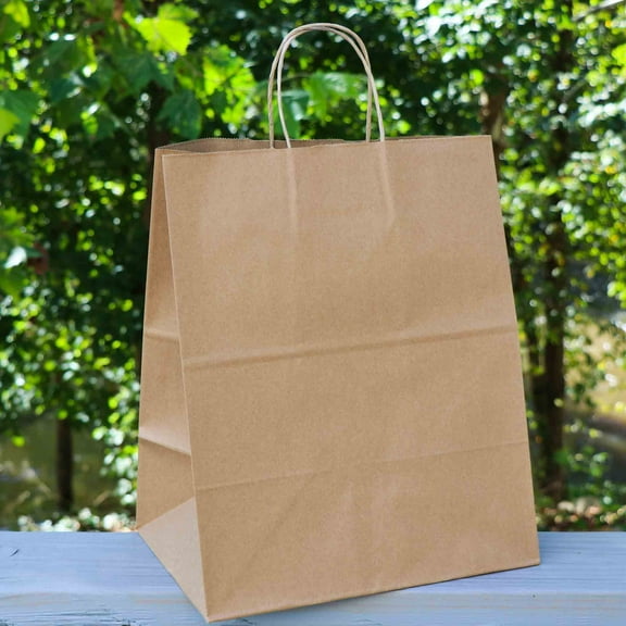 13” x 9.1” x 15.7” Handle Paper Bag (Regal)