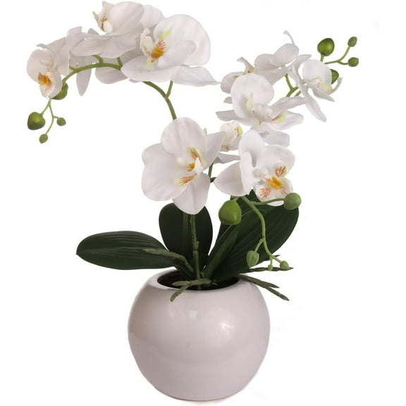 13"x6" White Phalaenopsis Orchid Stem with 5-Inch Round Bloom Artificial Flower for Home, Office & Event Dcor