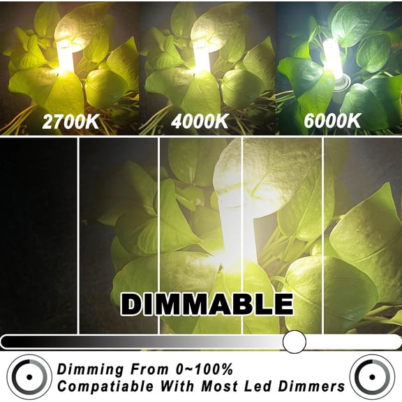 13309-40B10C/DL/F/BL/4PK B10 Decor Torpedo Light Bulb