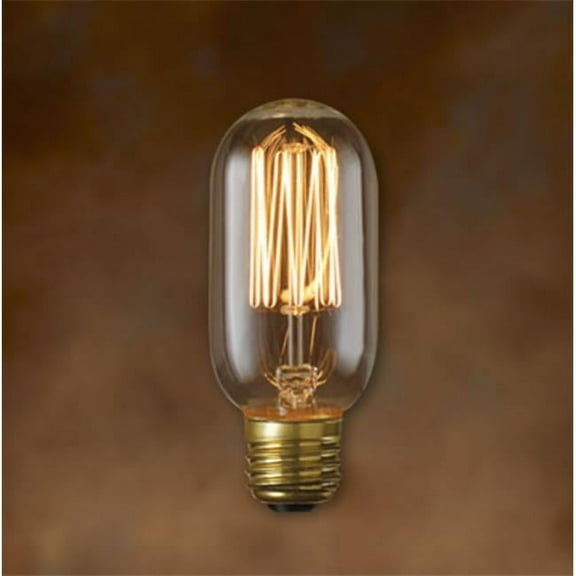 134015 40-Watt Nostalgic Incandescent Edison T14- Vintage Thread Filament- Medium Base- Warm White - Pack of 4
