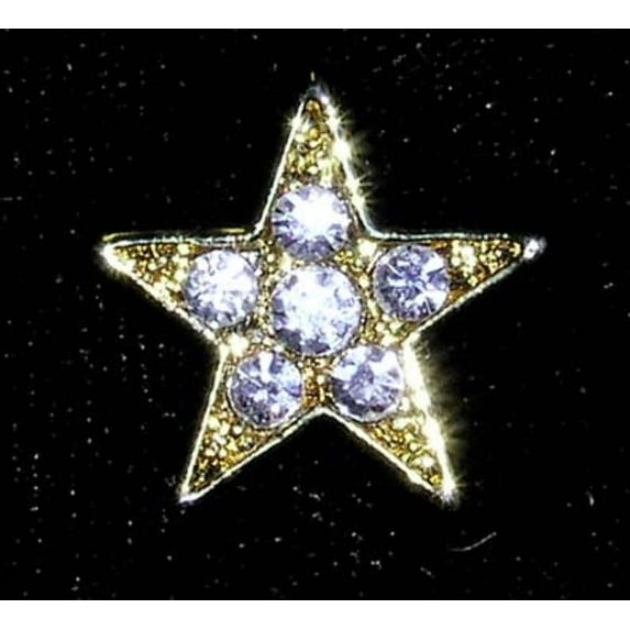 #13473 Rhinestone Casted Mini Star Pin