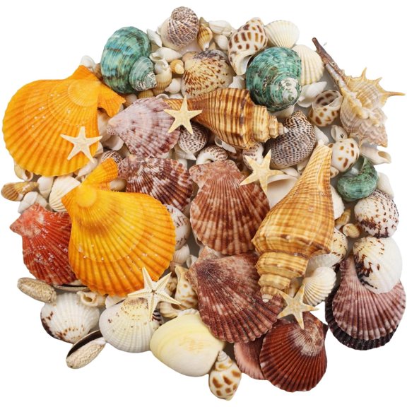 135 PCS Sea Shells Mixed Beach Seashells Starfish, Colorful Various Sizes Natural Seashells for Crafts,Candle Making, Beach Theme Party Wedding Decor, Fish Tank