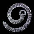 thumbnail image 1 of #13692 - Rhinestone Belt - 9 Rows, 1 of 2