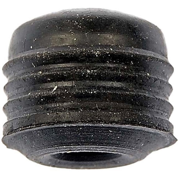13962 Bleeder Screw Caps