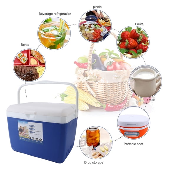 13L Insulated Cooler Box With Handle, Leakproof For Picnics, Camping  Outdoor Activities