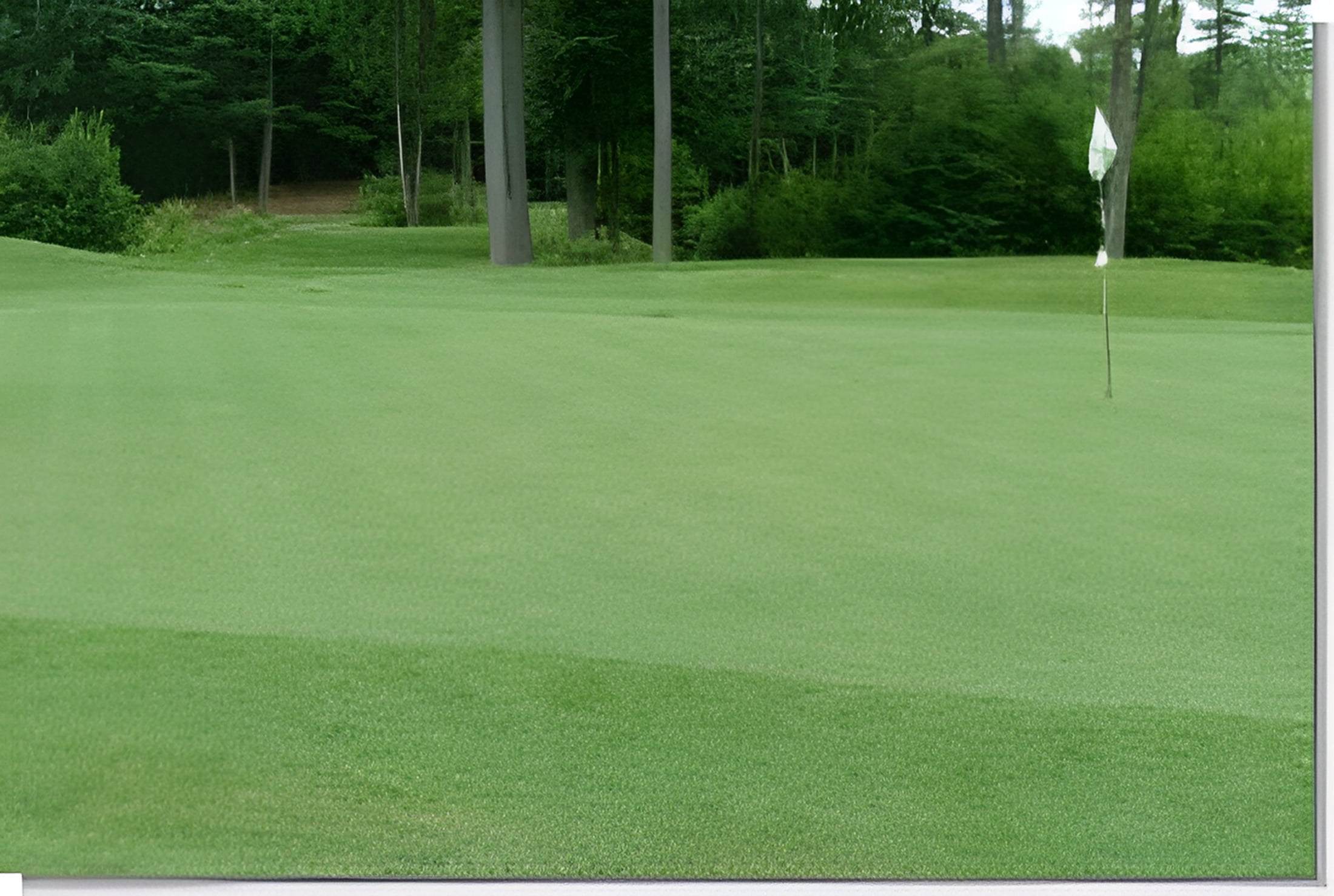 Pennington 13M Creeping Bentgrass Seed, 5 Lbs. - Shade Tolerant