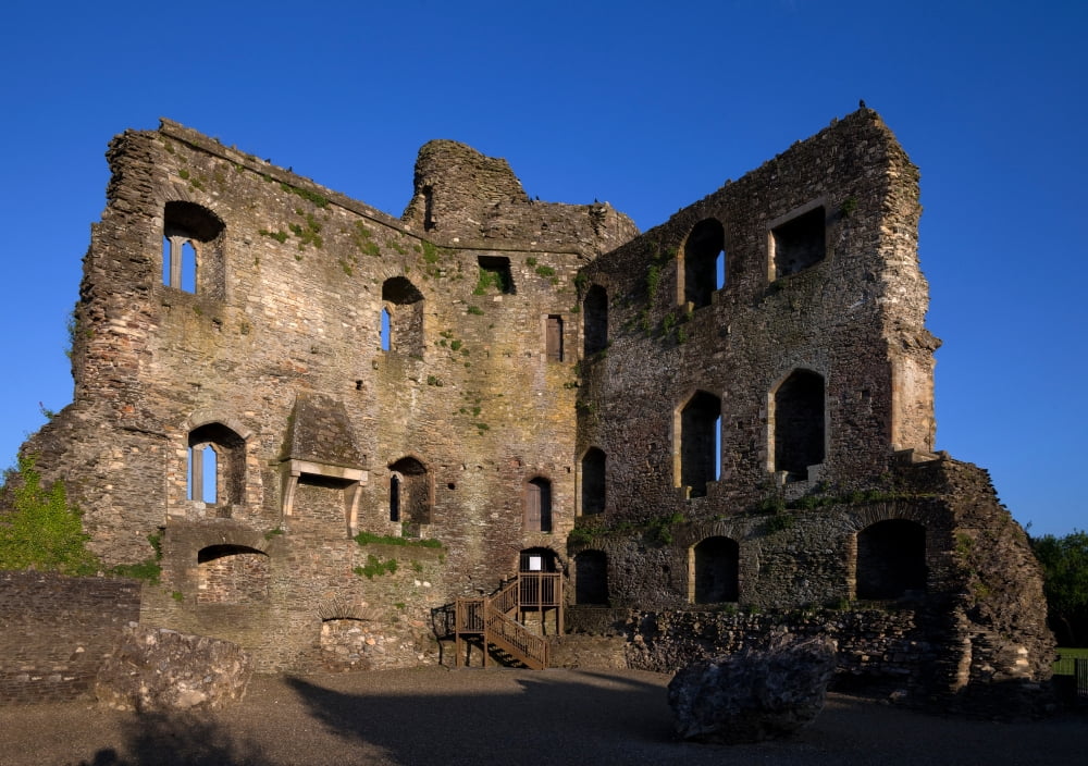 13th Century Castle Ferns County Wexford Ireland Canvas Art - Panoramic Images (24 x 36)