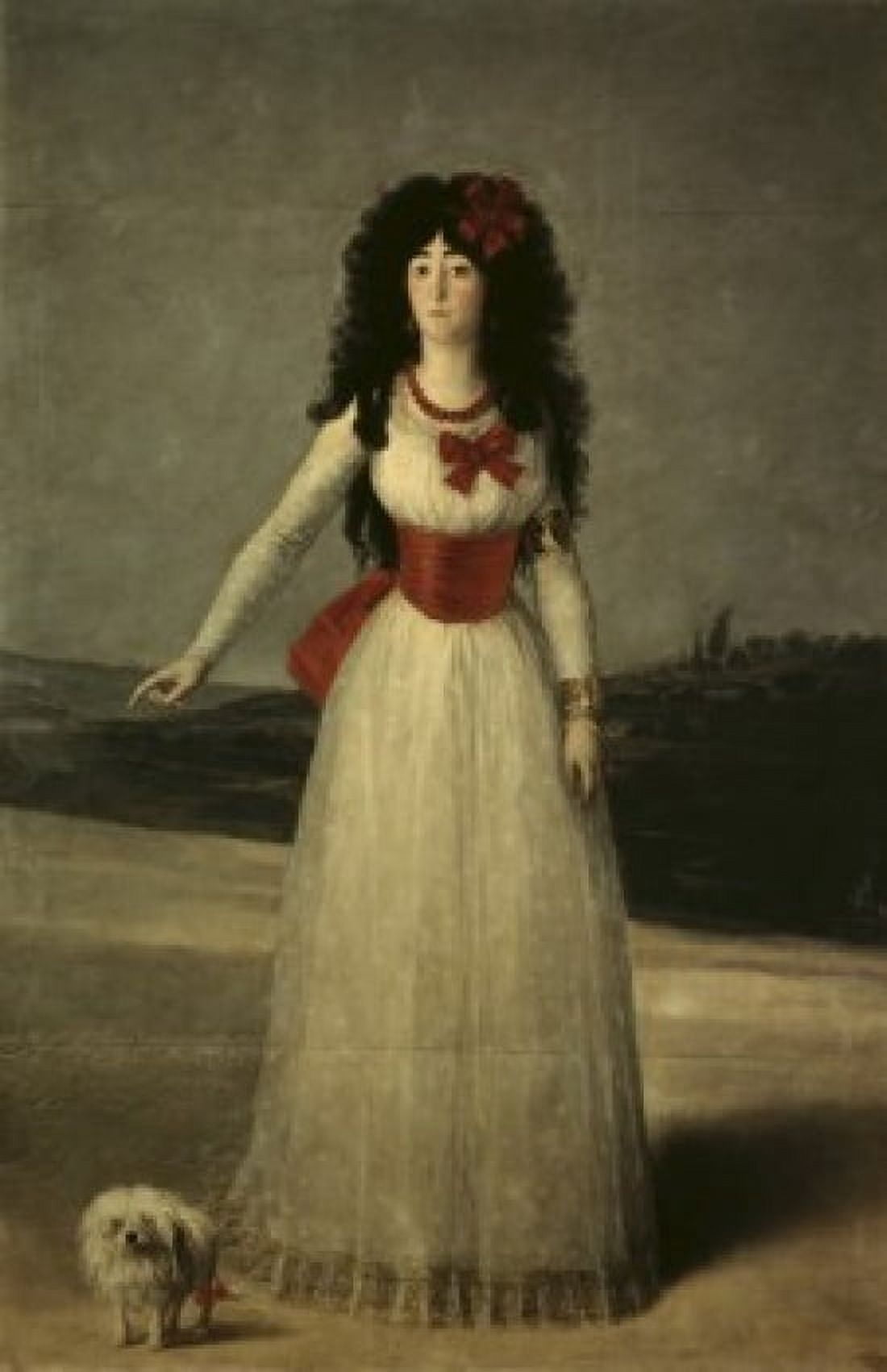 13th Duchess of Alba Francisco de Goya y Lucientes (1746-1828Spanish) Collection of the Duke of Berwick and Alba Madrid Canvas Art - Francisco de Goya y Lucientes (18 x 24)