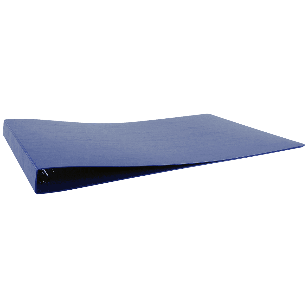 13x19 Binder Poly Panel Featuring a 1" Angle-D Ring Blue