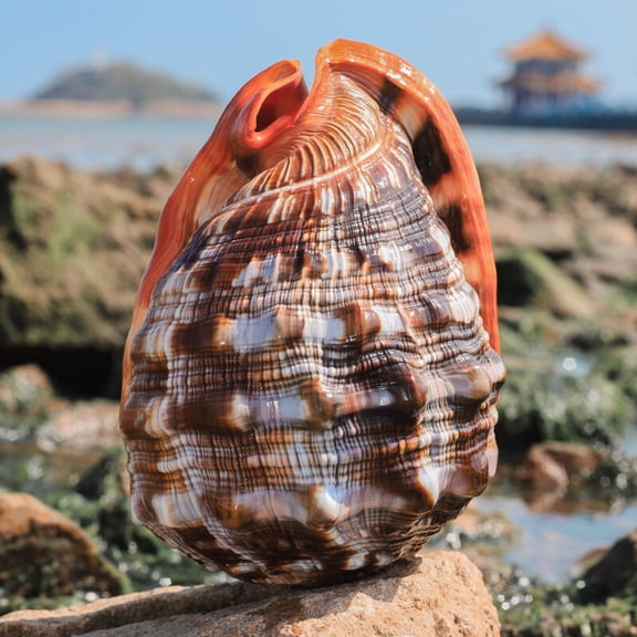14-15cm Conch Shell Aquarium Decoration Fish Tank Ornament Coastal Marine Style Resin Home Display Craft Accessory