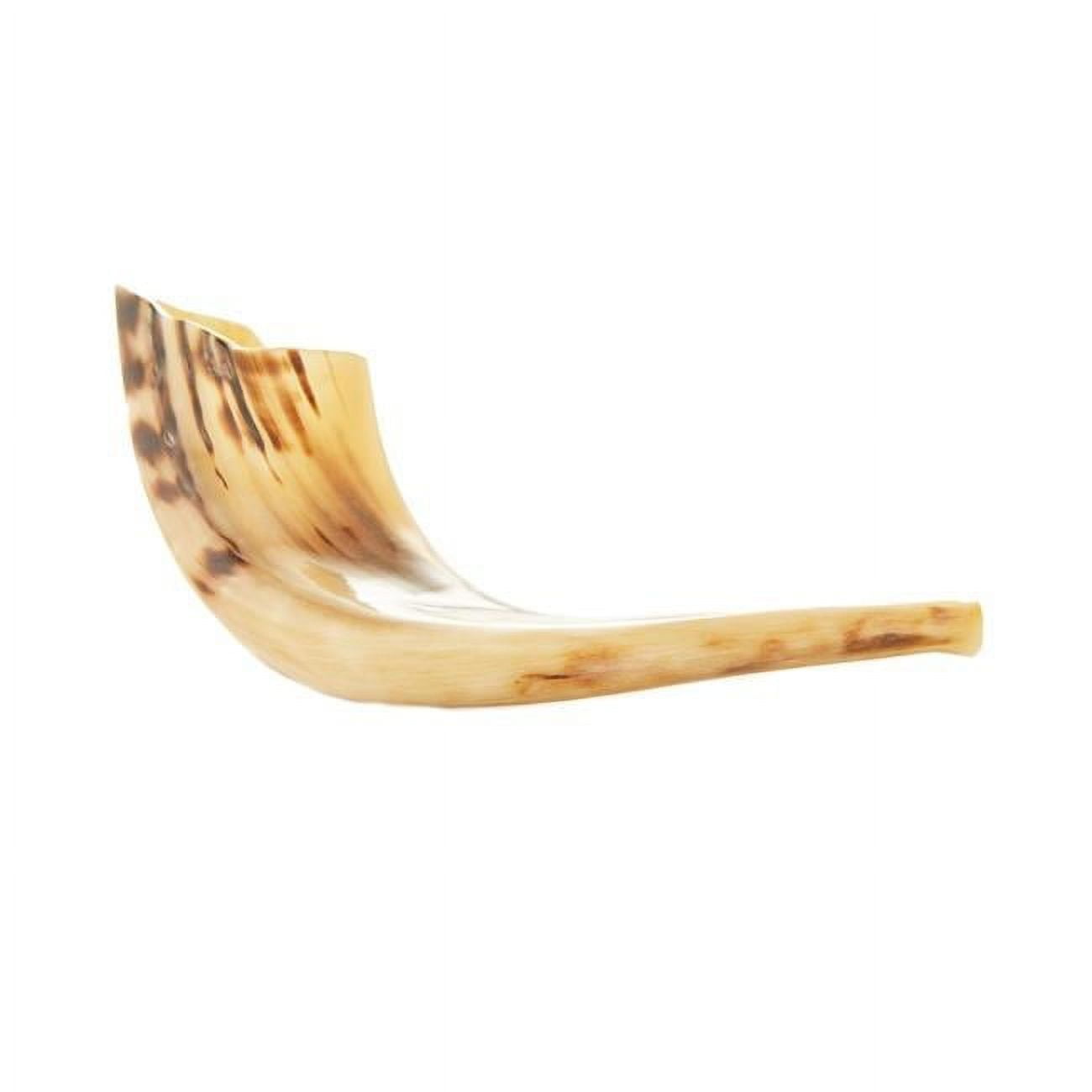14-16 in. Rams Horn Mini Shofar