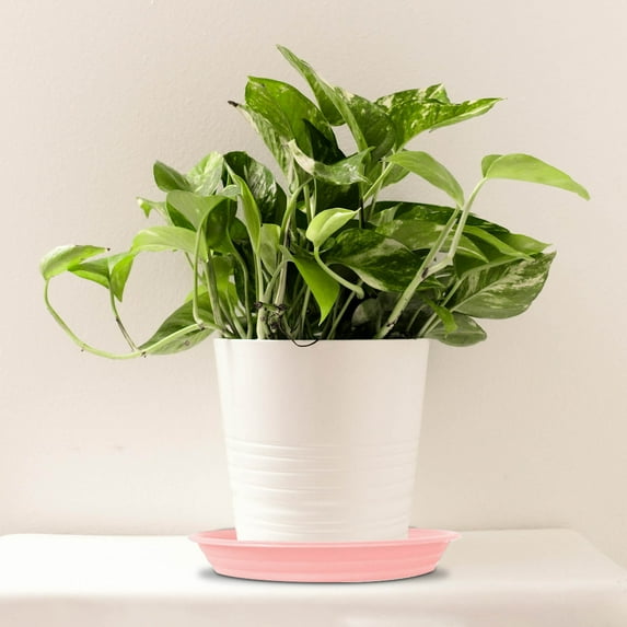 14.2 Inch Heavy Duty Saucer, Thickened Resin Base Tray for Potted Plants, Durable Indoor/Outdoor Water Catch Basin, Garden Pad