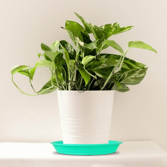 14.2 Inch Heavy Duty Saucer, Thickened Resin Base Tray for Potted Plants, Durable Indoor/Outdoor Water Catch Basin, Garden Pad