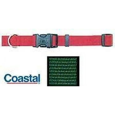 14-20"L x 3/4"W Coastal Pet Nylon Dog Collar Hunter Green