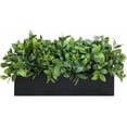thumbnail image 1 of 14" Artificial Boxwood Plant Greenery Arrangement Faux Boxwood in Black Rectangular Wooden Planter Potted Herb Plant for Farmhouse Home Decor Wedding Windowsill Mantel Shelf Table Centerpiece, 1 of 9