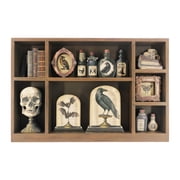 14.5" Skull & Potions Curiosities Box Tabletop D cor by Ashland