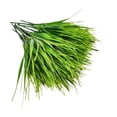 thumbnail image 1 of 14.5"palm branches,Artificial Greenery Plant Bush,Faux Palm Fronds Tropical Plants Green Tree Leaves,Fake Plants for Outdoor UV Protection,Home,Office, Wedding,and Garden Decor(F), 1 of 8