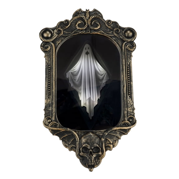 14" Animated Disappearing Ghost Frame by Ashland