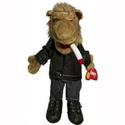 14 Camel in black jacket