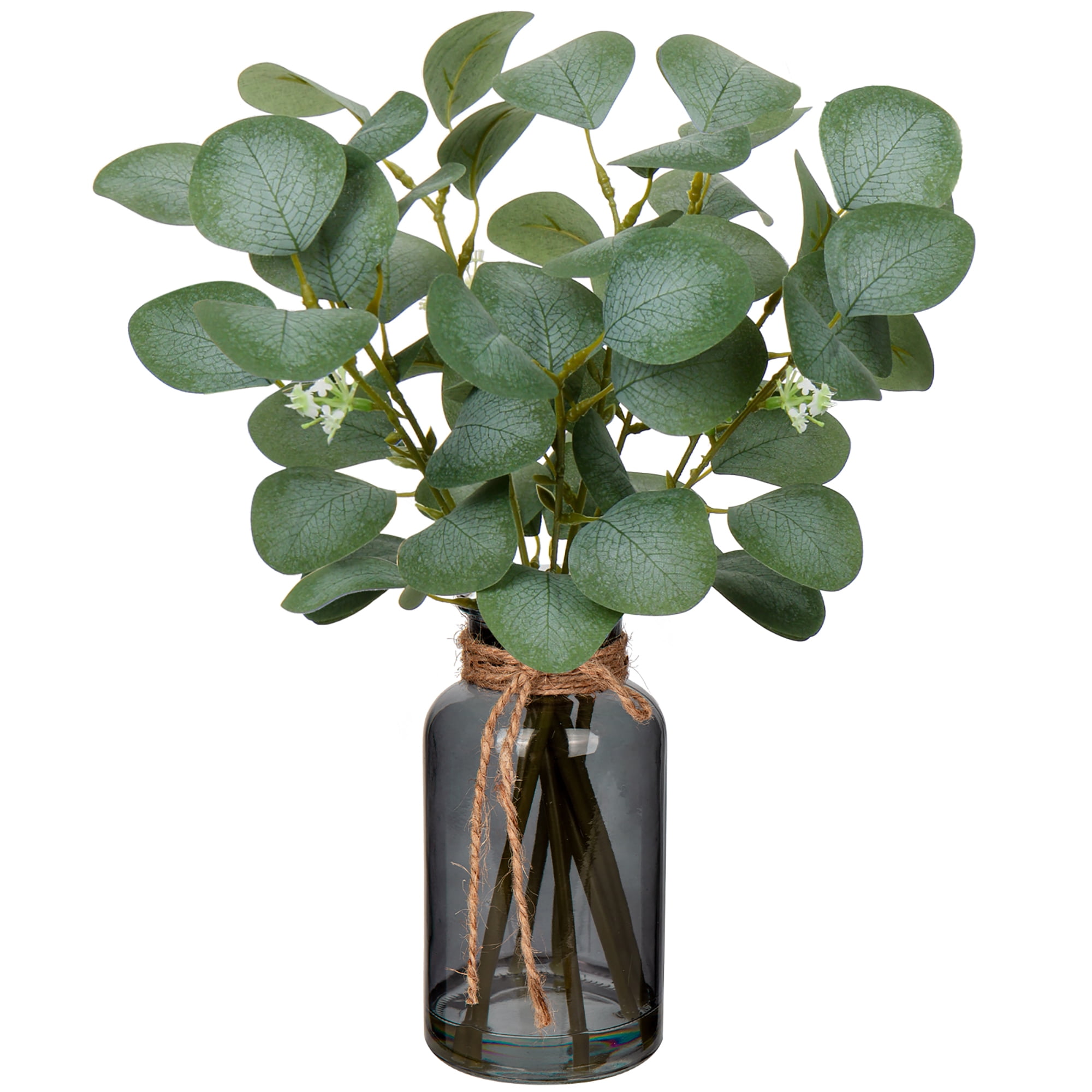 14" Frosted Green Eucalyptus Stems in Black Glass Vase