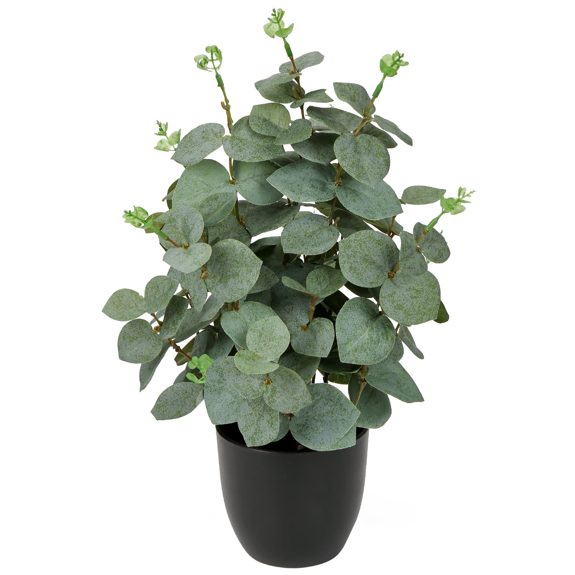 Small Faux Eucalyptus Plant: Add Natural Elegance to Any Space