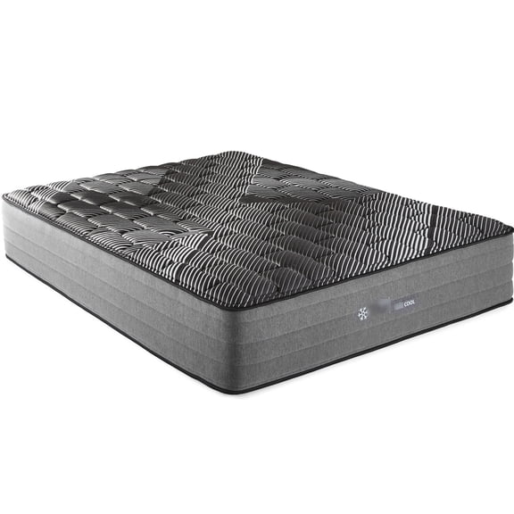 14" Full - Format Mattress | Ice Cover to Keep Sleep Cool | Silver - Infused Elate Visco for Comfort | Isolates Body Movement for Quiet Sleep