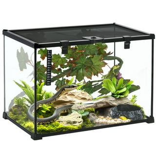 Top 20 gallon snake tank kit Store