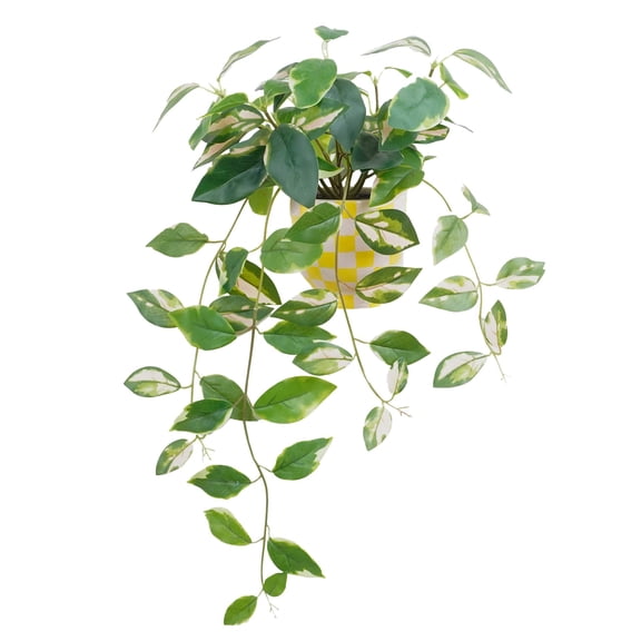 14" Hoya Carnosa in Yellow Checkered Ceramic Pot by Ashland - Spring Floral for Crafting and Home Decor