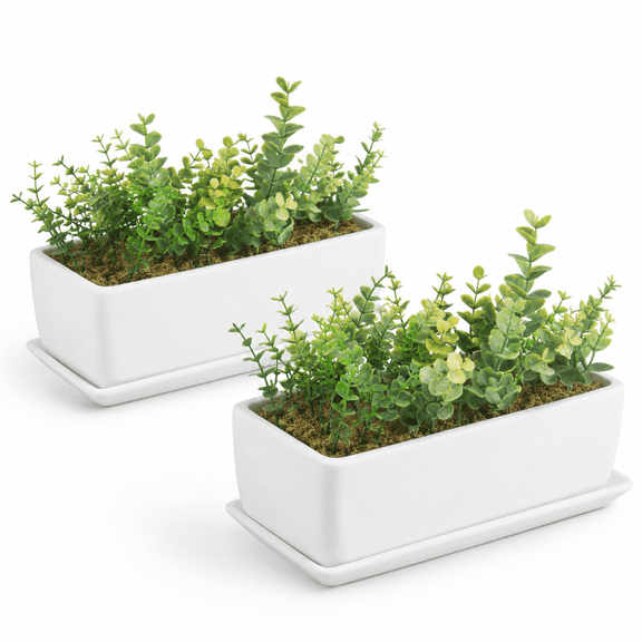 14 Inch Ceramic Indoor Plant Pot With Drainhole Rectangular Succulent Planter Window Box Removable Saucer Unglazed White (pack Of
