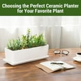 thumbnail image 1 of 14 Inch Ceramic Indoor Plant Pot with Drainage Hole, Rectangular Succulent Planter Window Box with Removable Saucer, Unglazed White, 1 of 5