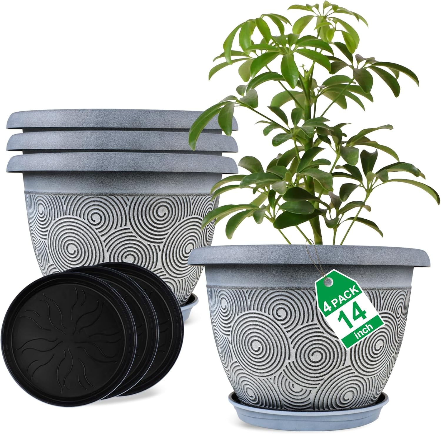 air purifying plant dieffenbachia Dieffenbachia 'Camouflage'
