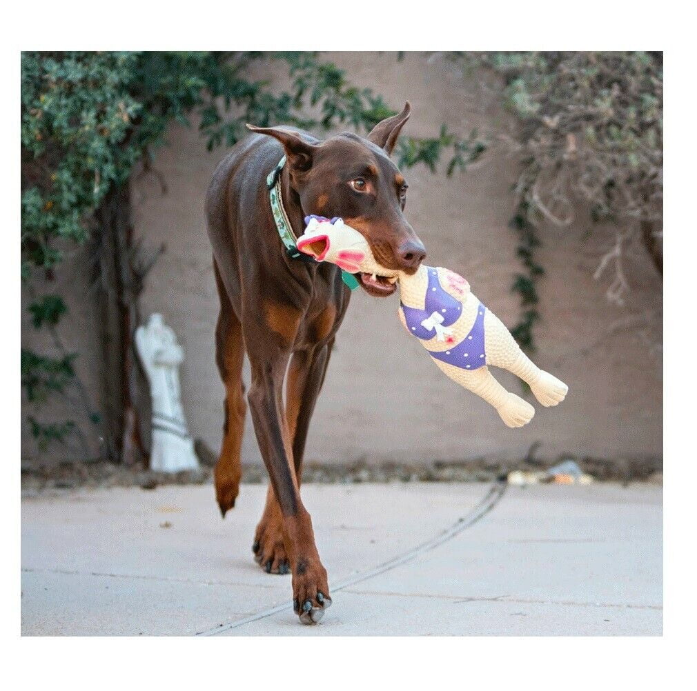 14 Inch Rubber Chicken Dog and Pet Toy Beach Henrietta or Earl Latex Squawkers (14 inch Henrietta)