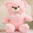 thumbnail image 1 of 14 Inch Teddy Bear Plush Doll Soft Stuffed Animal with Lace Collar Sleep Companion Toy for Kids Boys Girls Pink Beige Brown, 1 of 6