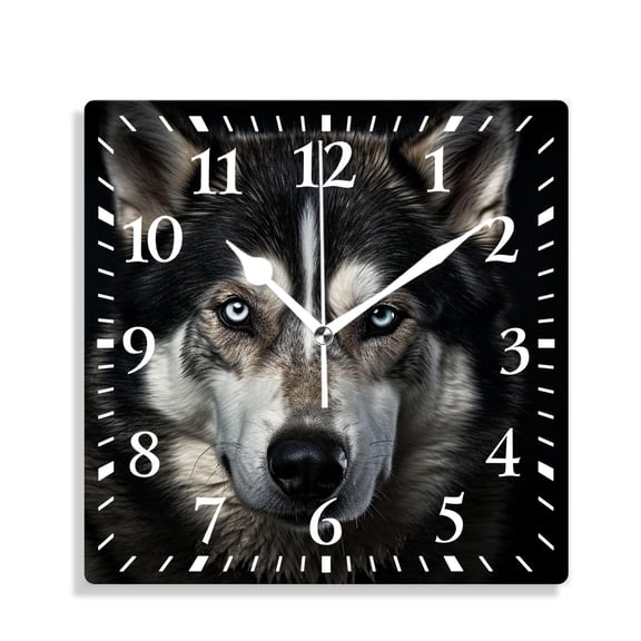 14 Inch Wall Clock Battery Operated Silent Clock Decorative for Office, Kitchen, Outdoor, Living RoomHusky Dog Looking into Light Source Portrait Lovely