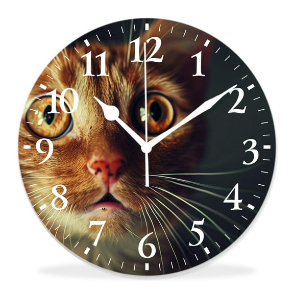 14 Inch Wall Clock Battery Operated Silent Clock Decorative for Office, Kitchen, Outdoor, Living RoomFunny Crazy Wide Big Eye Cat American Shorthair Graceful
