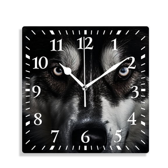 14 Inch Wall Clock Battery Operated Silent Clock Decorative for Office, Kitchen, Outdoor, Living RoomHusky Dog Looking into Light Source Portrait Lovely Pattern