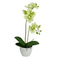thumbnail image 1 of Northlight Real Touch™️Artificial Orchid Potted Plant - 14" - Green, 1 of 7