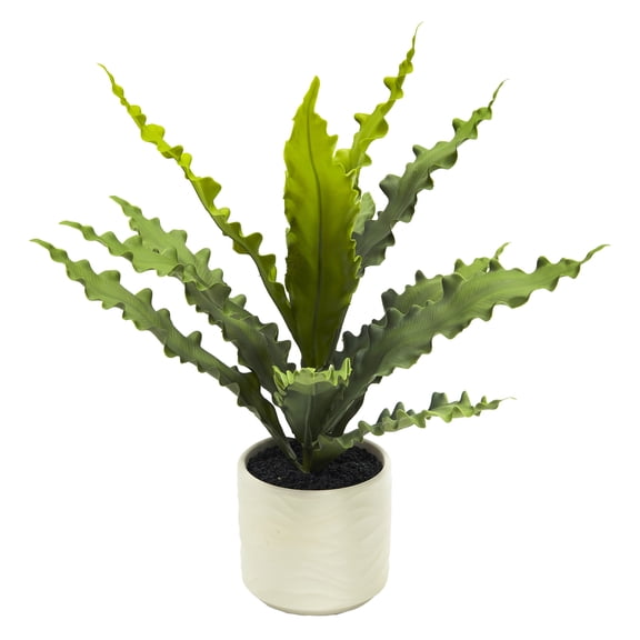 14" Java Fern in Wavy White Ceramic Pot by Ashland - Spring Floral for Crafting and Home Decor
