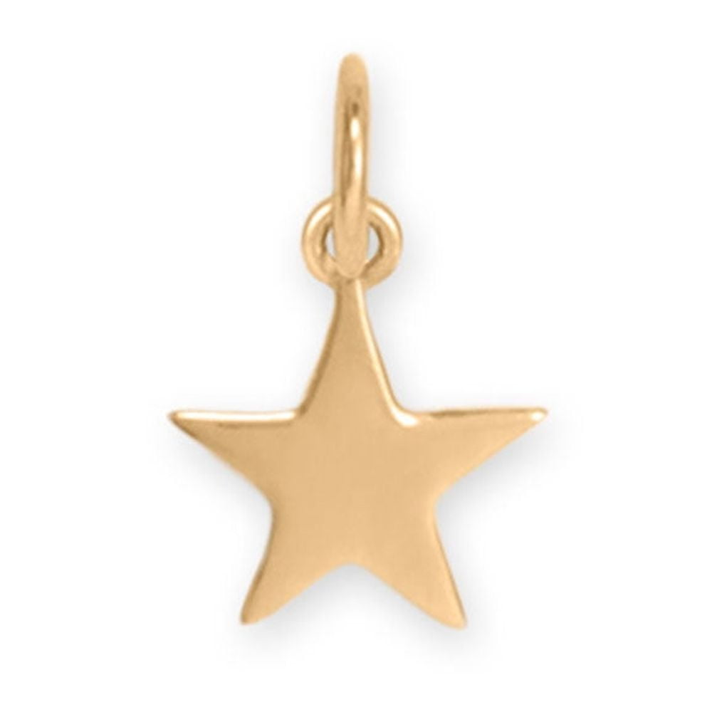 EXTEL 14 Karat Gold Star Charm