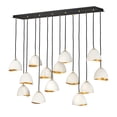 thumbnail image 1 of 35909SHW Hinkley Lighting Nula - 14 Light Linear Chandelier in Modern-Glam Style - 48.5 Inches Wide by 46 Inches High-Shell White Finish, 1 of 10