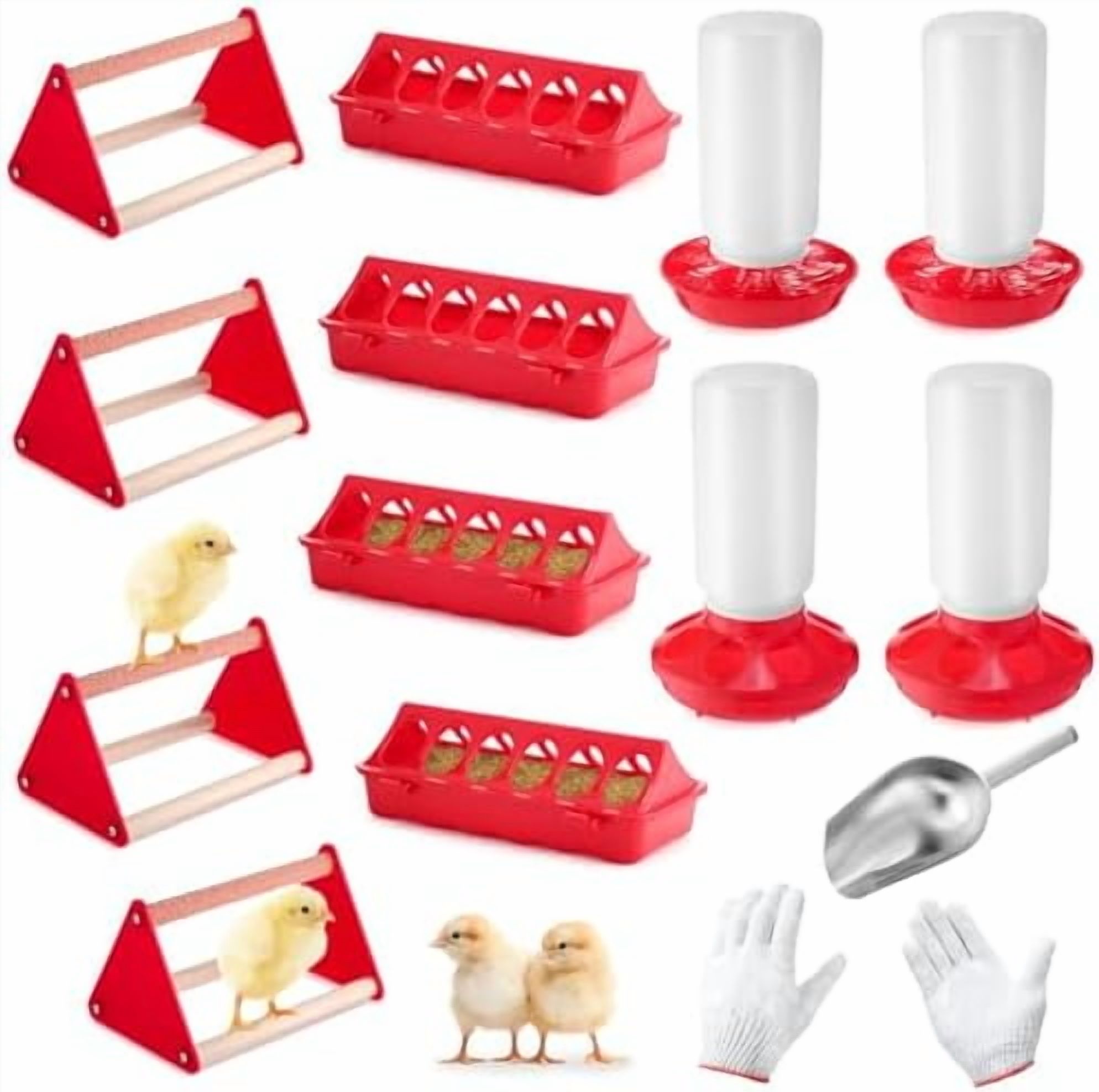 Frozen Thawed Quail Chick Starter Formula Chart Reference: 14 Pcs Chick Starter Kit Baby Chick Feeder And Waterer
