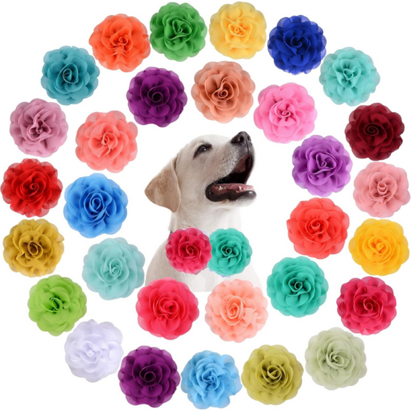 14 Pcs Flower for Dog Collar Pet Collar Flowers Charms Multi Color Bow Tie for Cat Puppy Dog Grooming Accessories