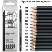 14-Piece Professional Sketching Pencil Set, Premium Drawing Pencils with Full Range 6H-12B, Graphite Art Supplies for Sketching, Shading, Artists, Beginners & Academic Exams