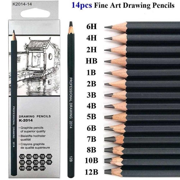 14-Piece Professional Sketching Pencil Set, Premium Drawing Pencils with Full Range 6H-12B, Graphite Art Supplies for Sketching, Shading, Artists, Beginners & Academic Exams