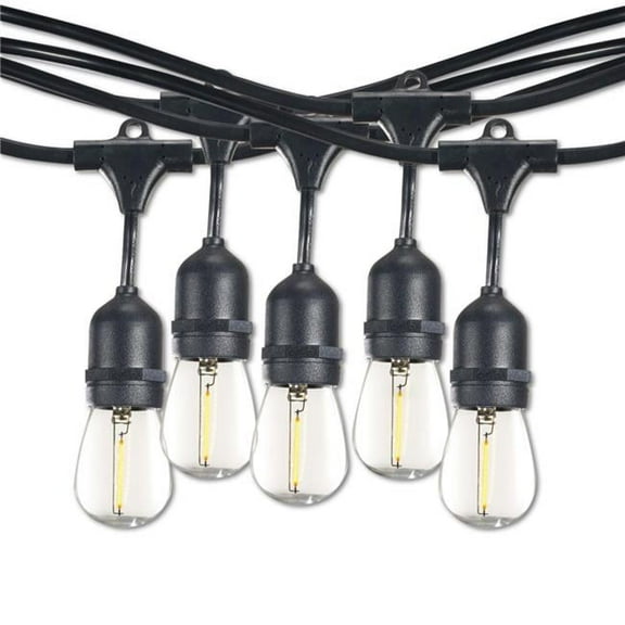 14' STRING LIGHT 10 SOCKETS 16'' SPACING E26 BLACK KIT - W/1W PLASTIC LED S14 CLEAR LAMPS
