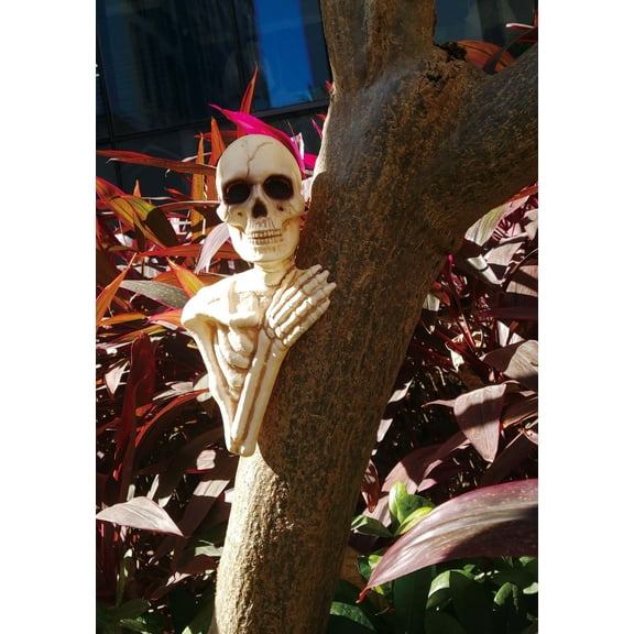 14" Skeleton Tree Peeker Decoration