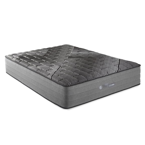14" Twin Mattress | Ice Cover to Keep Sleep Cool | Graphite - Infused Elate Visco for Better Airflow | Noise - Reducing Perimeter Design
