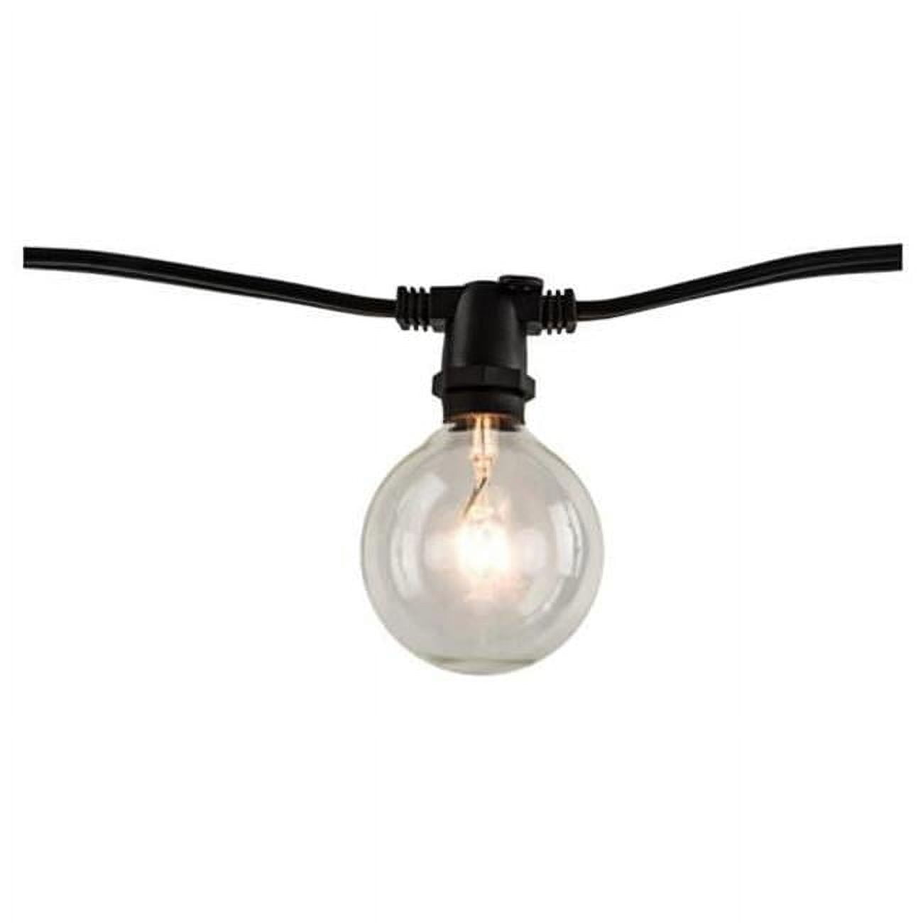 14 ft. 10-Socket Decorative String Light Kit with Clear Incandescent Globe G16 Bulbs, Black