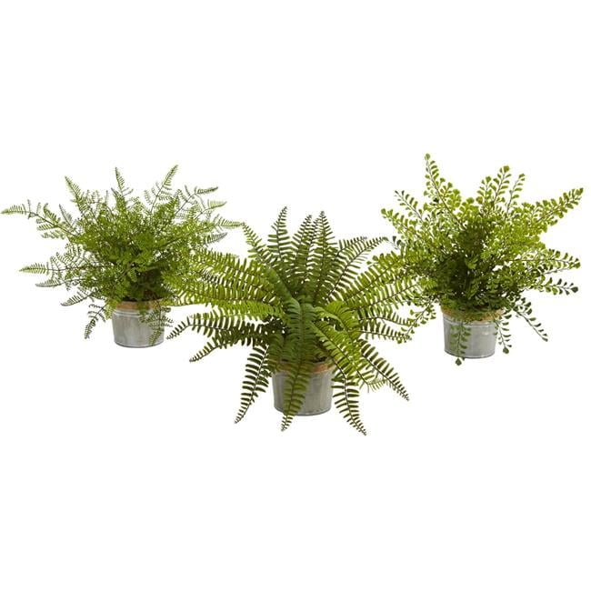 Lush Green 16'' Artificial Fern Arrangement in Plastic Planter, Set of 3