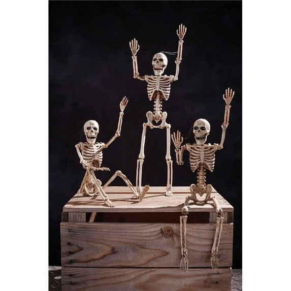 14 in. Posable Skeleton